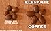 ELEFANTE RESERVE - Cup of Excellence Winner, Limited Edition, Ground Coffee, Nicaraguan Coffee, 300g 10.6oz | packaged at the source | Nicaragua's Coffee, by Twin Engine Coffee