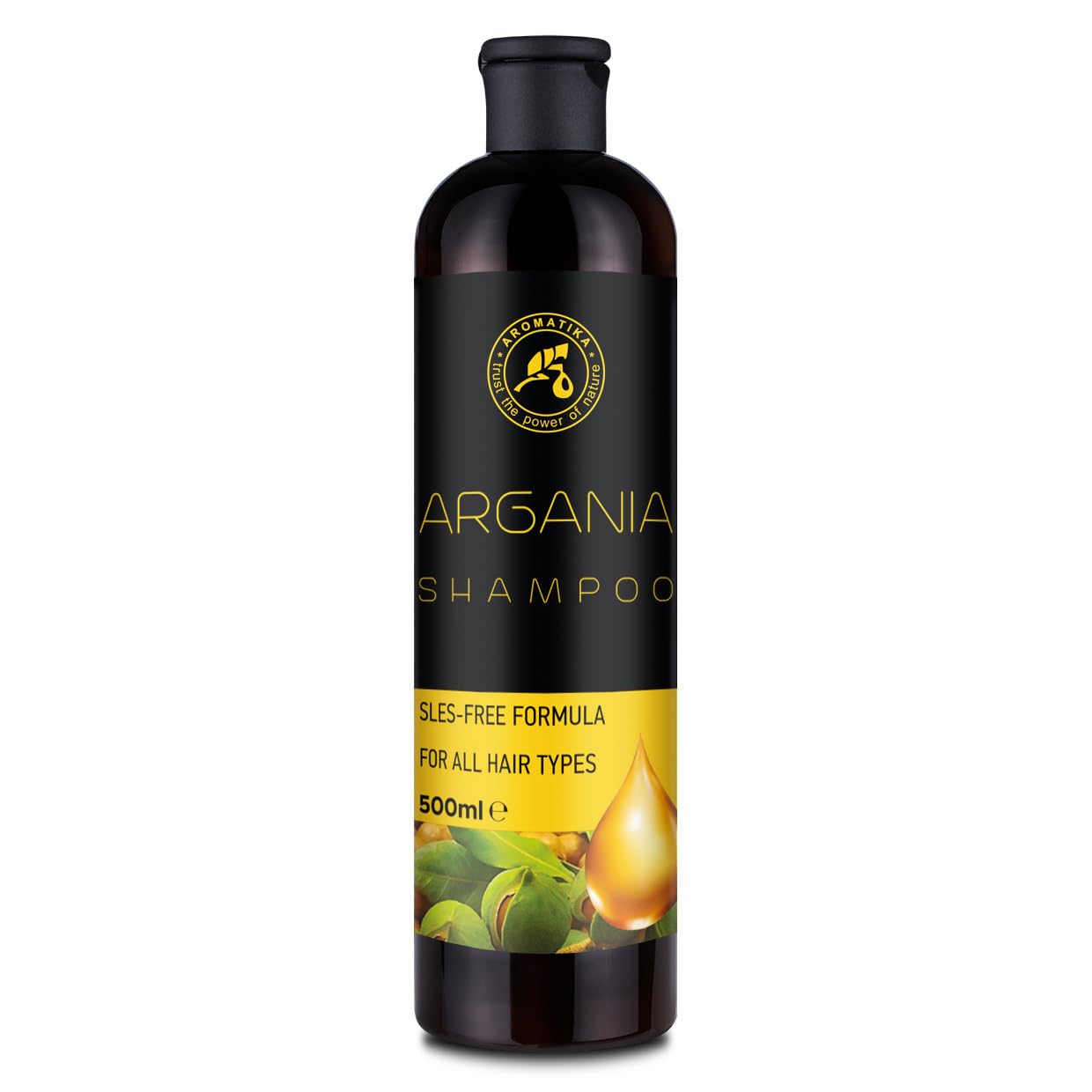 Argan Shampoo 500ml - Shampoo with Argan Oil - Hair Care Shampoo - Hair Gloss - Soft and Supple Hair - Hair and Scalp Care - All hair types - Beauty - Argania Shampoo