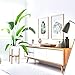 Fox & Fern Bamboo Plant Stand — 10 Inch Fixed Size Mid Century Plant Stand for Indoor Planters; Raised Flower Pot Holder for Indoors; Plug In Design; Two Height Options; Easy to Assemble - Bamboo