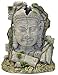 Exotic Environments Ancient Stone Head Ruin Aquarium Ornament