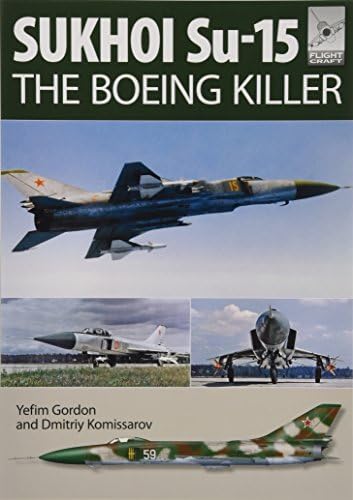 Il-2 Shturmovik: Red Avenger: Moore, Jason: 9781625450425: Amazon