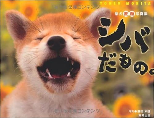 柴犬変顔写真集 シバだもの 森田 米雄 本 通販 Amazon