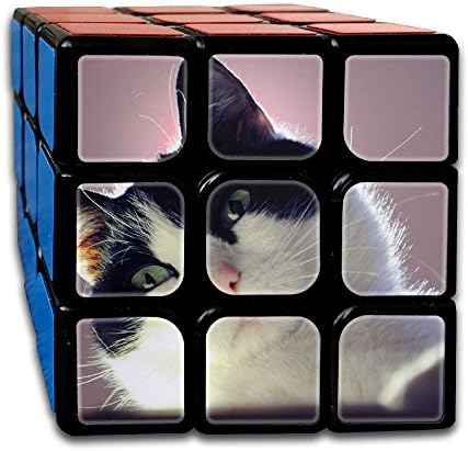 WPPZ Black Ears Cat Rubik's Cube Custom 3x3x3 Magic Square Puzzles Game Portable Toys-Anti Stress For Anti-anxiety Adults Kids