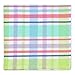 DII Cotton Plaid Napkin Set Machine Washable, 20x20, Spring Time, 6 Count