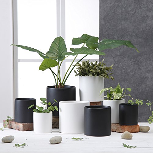Greenaholics Plant Pots - 5.9 + 4.7 Inch Matt Ceramic Planter with Drainage Hole for Flower, Cactus, Succulent Planting, Set of 2, White