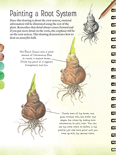 image for Walter Foster Publishing The Art of Botanical & Bird Illustration: an 