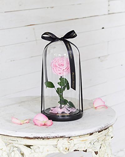 Valentine's Day Rose, Handmade Preserved Flower Rose Decor In A Glass Dome - Best Gift For Valentine's Day, Birthday, Bridal/ Baby Shower, Anniversary HOT SELL 2017, Best Gift Idea