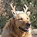 Dog Elk Antler Reindeer Hat Cap Dog Cat Pet Christmas Costume Outfits Small Big Dog Hat Headwear Hair Grooming Accessories (L(for Medium and Big Dog), Brown)