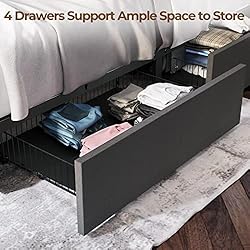 Rolanstar Queen Size Bed Frame with LED Lights and
