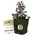 Third Die Dice Bag - Handcrafted, Reversible Drawstring Bag That Stands Open On The Table And Closes Tight - Soft Microfiber With Cool Celtic Knot Medallion - Deep Green and Moss Green