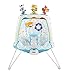 Fisher-Price Musical Friends Bouncer