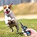 Fittidoll Dog Training Collar, Rechargeable Dog Shock Collar with Beep, Vibration and 1~100 Shock Levels Dog Training Set, 60% Longer Remote Range, 100% Waterproof Training Collar for Dogs Small Mediuthumb 2