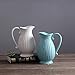 Jomop Decorative Pitcher, Embellished Pitcher Ceramic Vase Home Decor Gift (9.8 in, White)