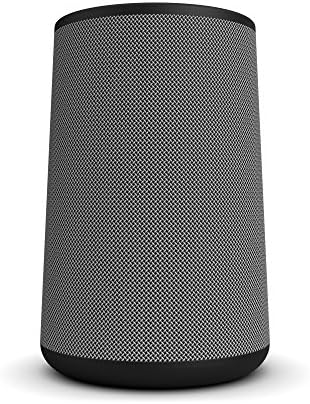 majority hobson echo dot speaker