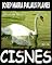 Livro CISNES [PT]