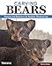 Carving Bears: Patterns and Reference for Realistic Woodcarving (Fox Chapel Publishing) by Desiree Hajny