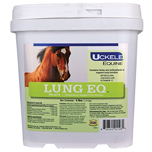 Top 10 Horse Supplements Cough of 2019 No Place Called Home