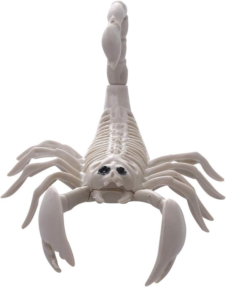 Ghost House Secret Room Bar Props Halloween Gift Party Horror Decorated with Broken Bones Skull Animal Skeleton Son