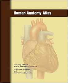 Amazon.com: Human Anatomy Atlas (9780073028415): McGraw-Hill: Books