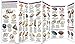 Seashells: A Folding Pocket Guide to Familiar North American Species (Wildlife and Nature Identification)