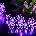 UCTEK Solar Christmas String Lights, 21ft 50 Halloween String Lights, Fairy LED Lights String, Solar Flower Decorative Lighting for Outdoor Home Garden Patio Xmas Trees Party and Holiday Purple