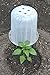 Greenhouse Buckets - 3 Pack, The Ultimate Garden Cloche