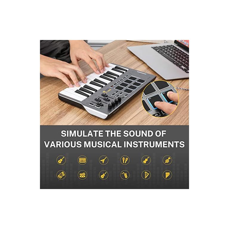 Donner MIDI Keyboard Controller, DMK25 Portable MIDI with 25 Responsive