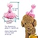 2 Pcs Adorable Cute Crown Shaped Cat Dog Pet 1 Year Birthday Headband and Pink Star Hair Head Bands Accessories for Dogs Cats Pets (Rose Red)