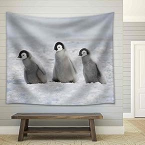 Emperor Penguin Chicks Snow Hill, Antarctica 2010 on The Icebreaker Kapitan Khlebnikov - Fabric Wall Tapestry Home Decor - 51x60 inches