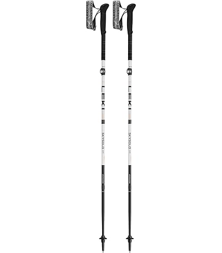 LEKIストック veal haute route2 110～150cm Leki Haute Route 2 Ski Poles | REI Co-op