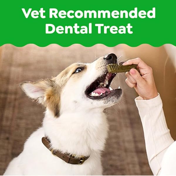 GREENIES DENTAL BONE DOG TREAT SWEET POTATO LARGE 12OZ