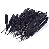 CrazyDeal black 100 beautiful goose feather 4-6 inches 10-15 cm, choose color Useful charming
