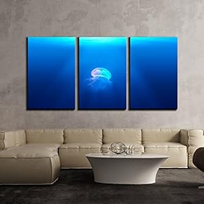 3 Piece Canvas Wall Art - Jellyfish Under Deep Blue Ocean - Modern Home Art Stretched and Framed Ready to Hang - 16"x24"x3 Panels