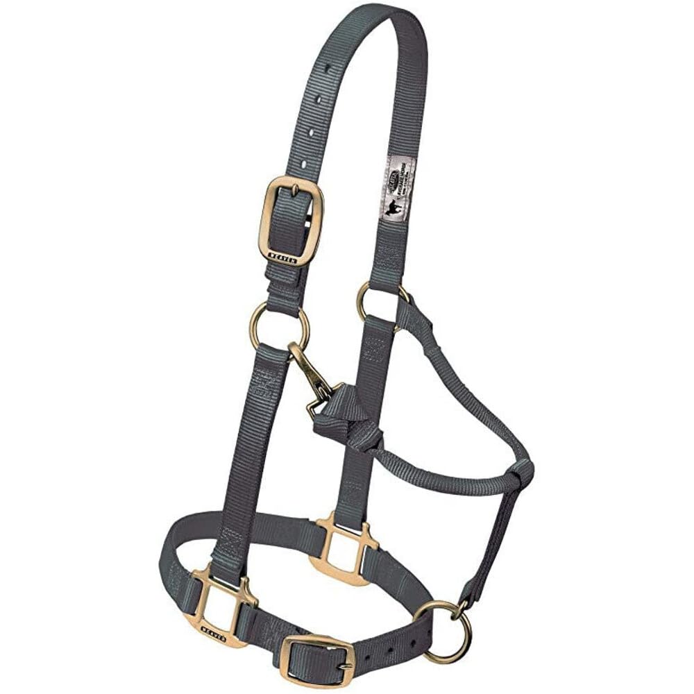 Weaver Leather Original Adjustable Chin and Throat Snap Halter, 1" Small Horse