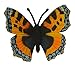 CollectA Small Tortoiseshell Figure