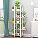 Large Creative Curved Steel Plant Stand, Multipurpose Display Stand for Flowers/Books/Bonsai, Indoor Bonsai Display Shelf for Living Room/Bedroom/Balcony/Office (Parallel Frame, White)thumb 3
