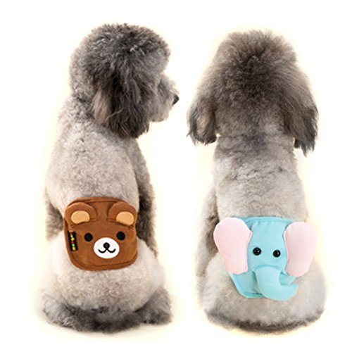 Alfie Pet by Petoga Couture - Rafael Belly Band 2-Piece Set (for Boy Dogs) - Size: Small by Alfie