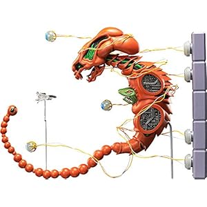 フリーイング[FREEing] figma R-TYPE ドブケラドプス ノンスケール ABS&PVC製 塗装済み可動フィギュア