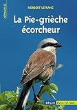 La Pie-grièche écorcheur by 