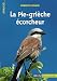 La Pie-grièche écorcheur by 