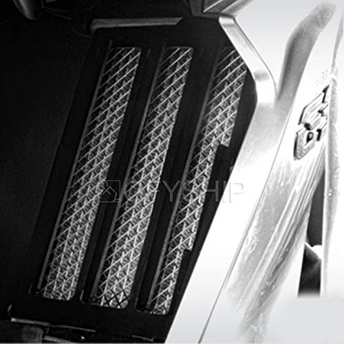 For BMW R1250GS 2019 R1250 GS Adventure 2019 Motorcycle Radiator Grille Guards (Titanium)