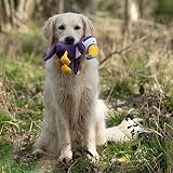 Petface Planet Tegan the Toucan Eco Friendly Plush Dog Toy view 5