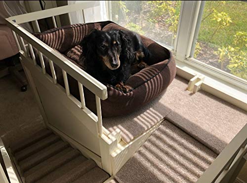 elevated dog platform