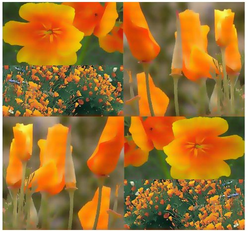 1,200 CALIFORNIA ORANGE POPPY FLOWER SEEDS E. californica GOLDEN CA STATE FLOWER