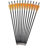 Kikzok 12 Pack Crossbow Bolts Carbon
