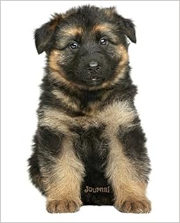 puppy alsatian dog