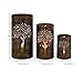 Deco 79 Metal Tree Candle Lantern, Set of 3 12