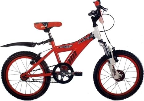 raleigh mx16
