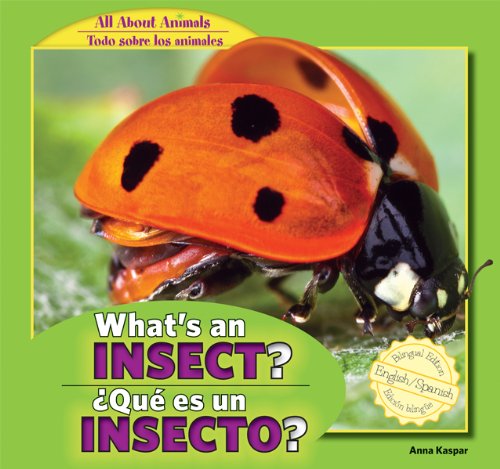 What's an Insect? / Que Es Un Insecto? (Reading Level H) | World's