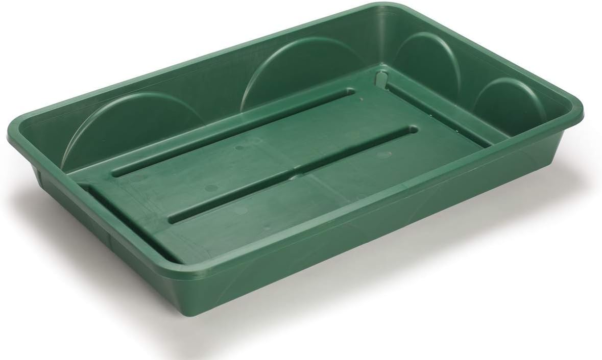 EarlyGrow MPL50030/P Large Propagator with Shatterproof Lid 58 x 38 x 26 Centimetres - Green - Image 3
